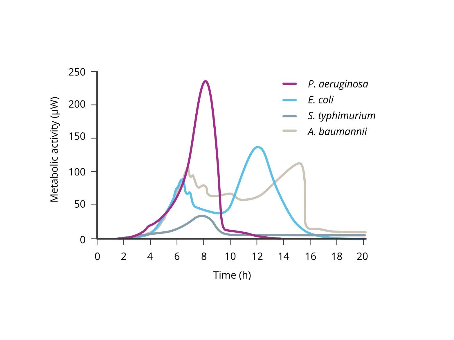 microbial-identification