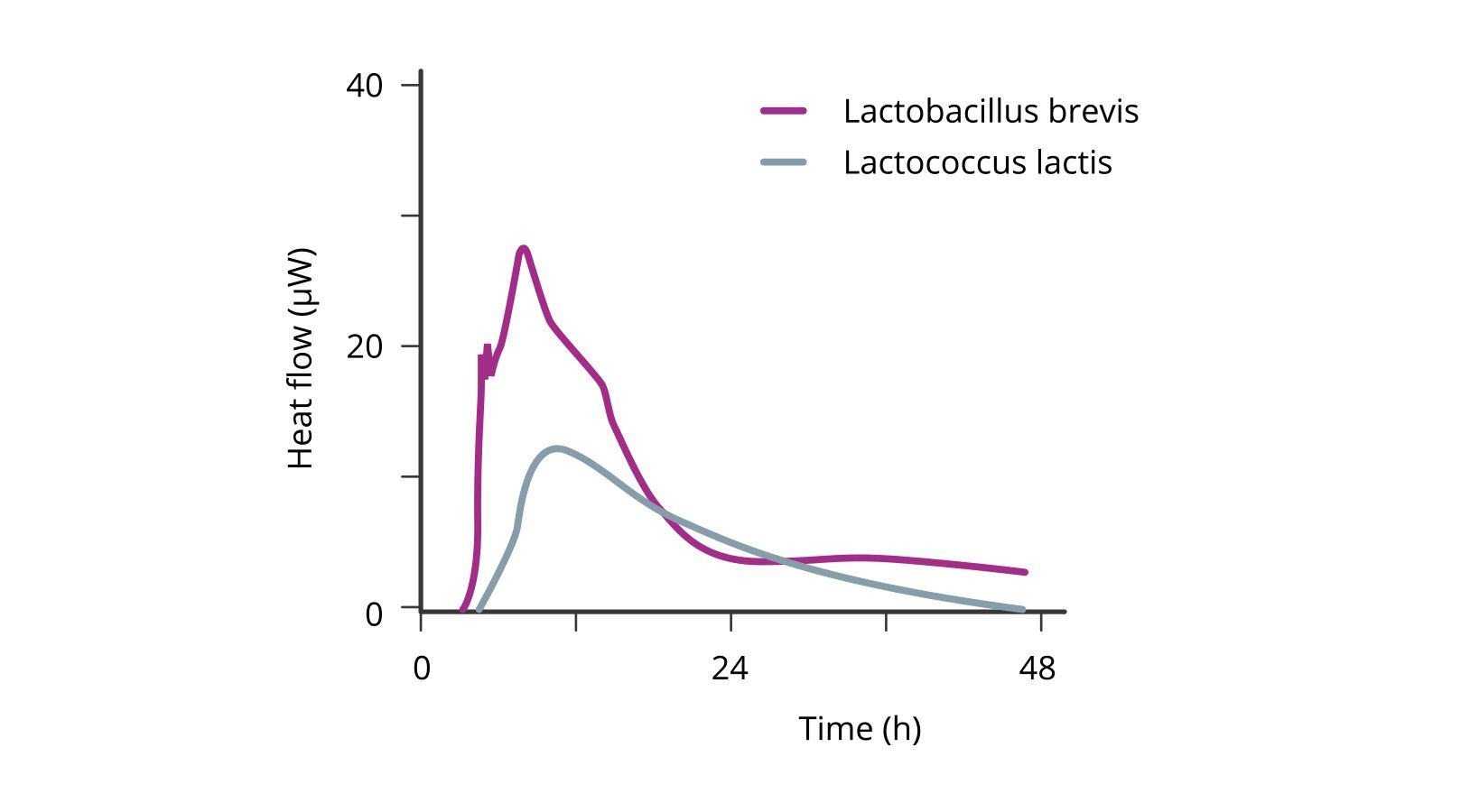 lactic-acid-bacteria-in-soy-milk
