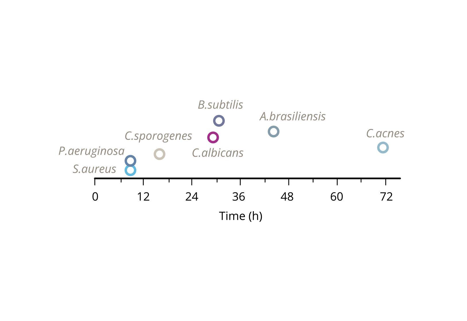 rapid-detection-in-car-t-cell-sample