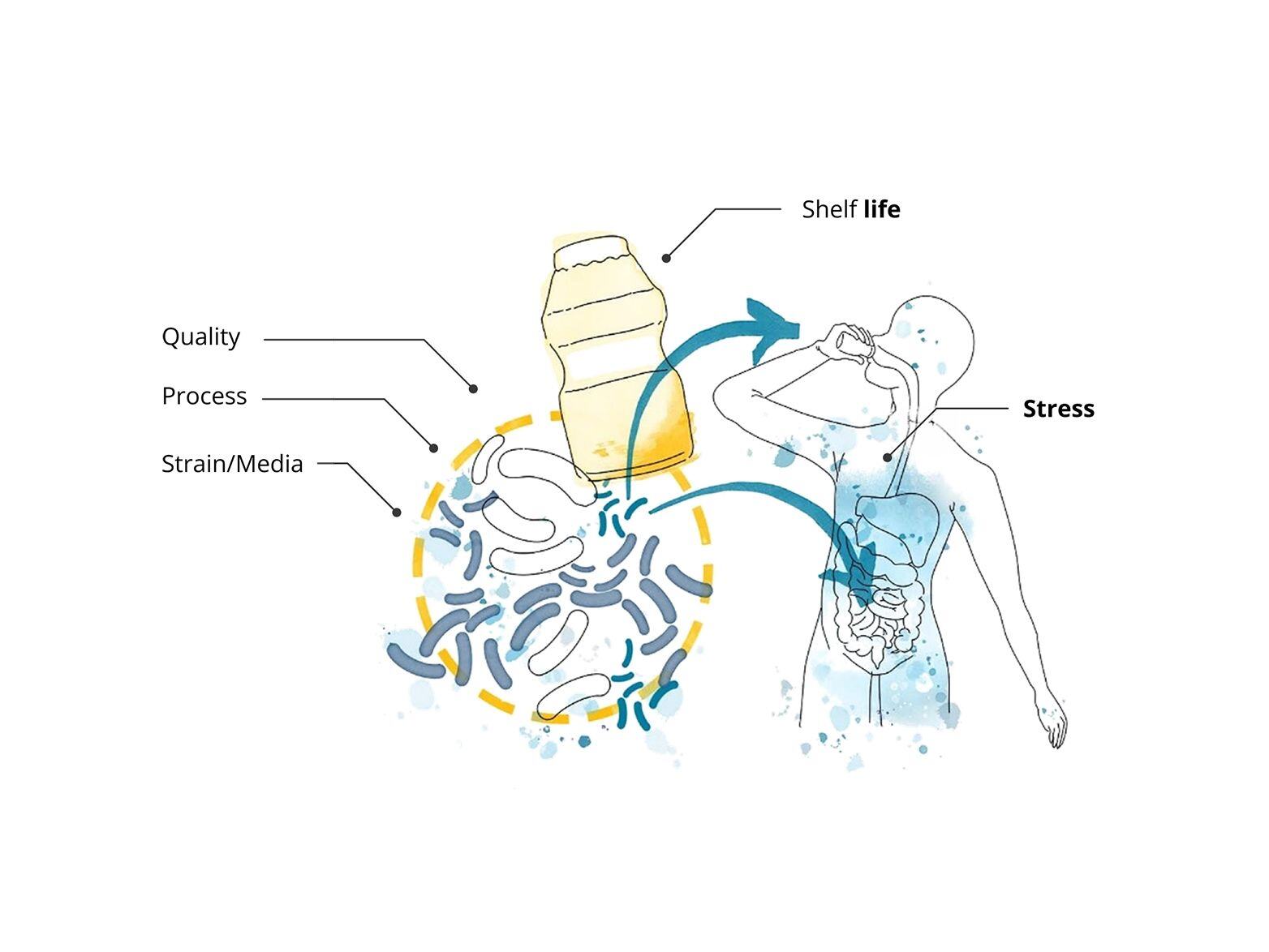 optimizing-probiotic-product-development-with-biocalorimetry